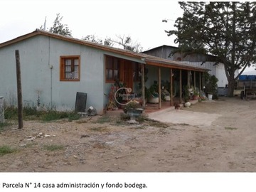 Venta / Terreno Agricola / Punitaqui