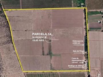 Venta / Terreno Agricola / Punitaqui