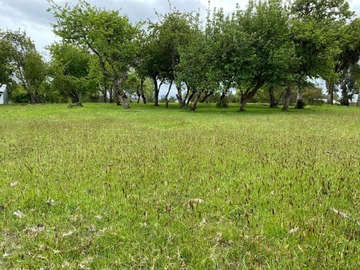 Imagen 7