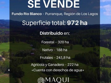 Venta / Terreno Agricola / Purranque