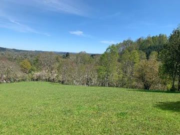 Venta / Terreno Agricola / Purranque