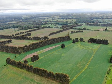 Venta / Terreno Agricola / Purranque