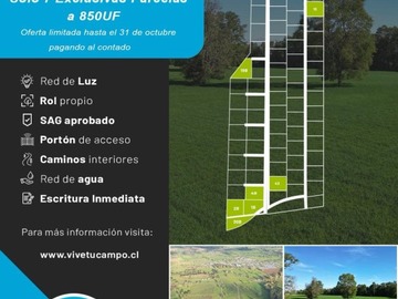 Venta / Terreno Agricola / Purranque