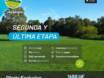 Venta / Terreno Agricola / Purranque