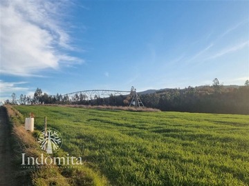 Venta / Terreno Agricola / Purranque