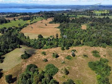 Venta / Terreno Agricola / Puyehue