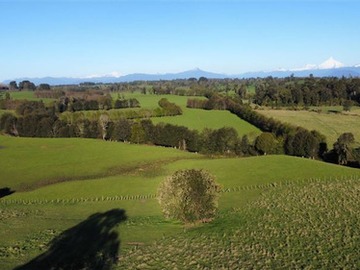 Venta / Terreno Agricola / Puyehue