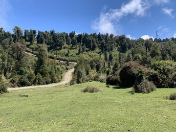 Venta / Terreno Agricola / Puyehue