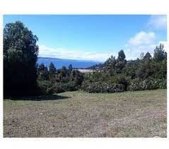 Venta / Terreno Agricola / Puyehue