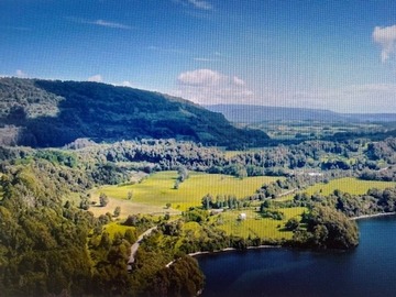 Venta / Terreno Agricola / Puyehue