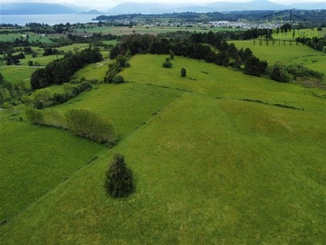 Venta / Terreno Agricola / Puyehue
