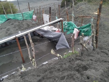 Imagen 4