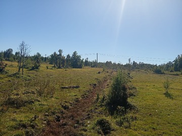 Venta / Terreno Agricola / Quemchi
