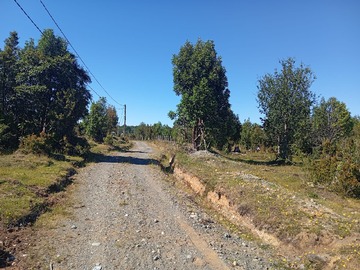 Imagen 6