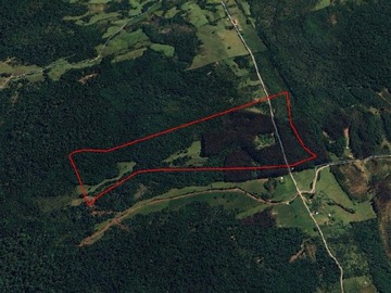 Venta / Terreno Agricola / Quemchi