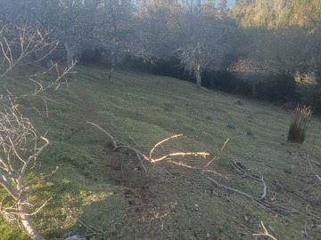Imagen 5