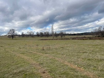 Venta / Terreno Agricola / Quilleco