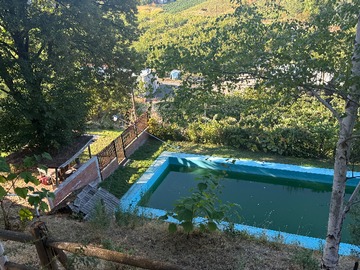 Imagen 11