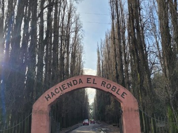 Venta / Terreno Agricola / Quillón