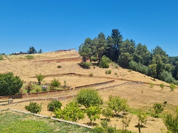 Venta / Terreno Agricola / Quillón