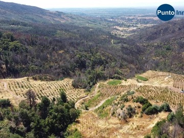 Venta / Terreno Agricola / Quillón