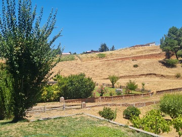 Venta / Terreno Agricola / Quillón