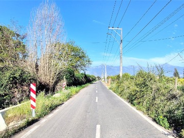 Venta / Terreno Agricola / Quillota