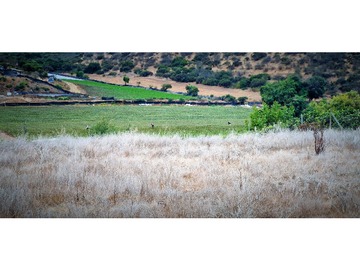 Venta / Terreno Agricola / Quillota