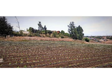 Imagen 18