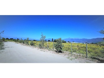 Venta / Terreno Agricola / Quillota