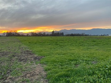 Venta / Terreno Agricola / Quillota