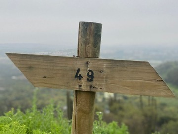 Imagen 6