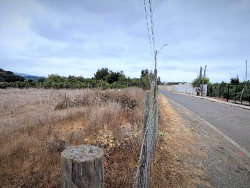 Venta / Terreno Agricola / Quillota