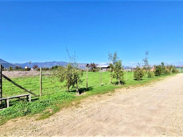 Imagen 29