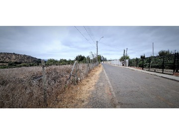 Imagen 20