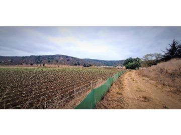 Venta / Terreno Agricola / Quillota