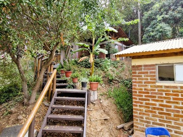 Imagen 29