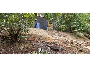 Imagen 26