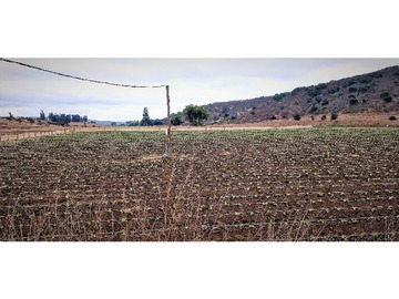 Imagen 7