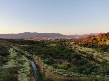 Venta / Terreno Agricola / Quillota