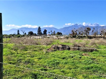 Venta / Terreno Agricola / Quillota