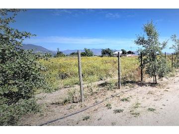 Venta / Terreno Agricola / Quillota