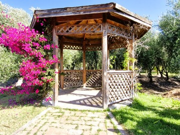 Imagen 27