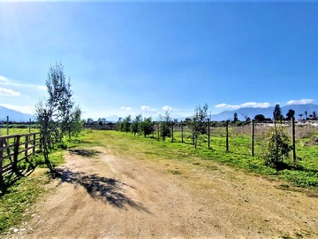 Venta / Terreno Agricola / Quillota
