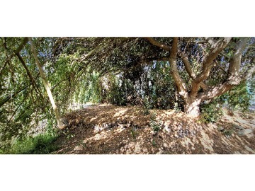 Imagen 26