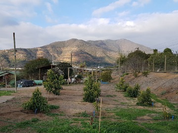 Imagen 18