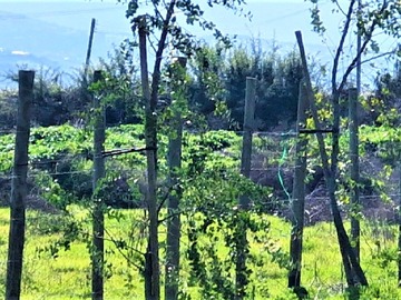 Imagen 13
