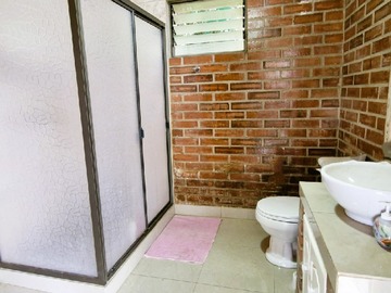 Imagen 11