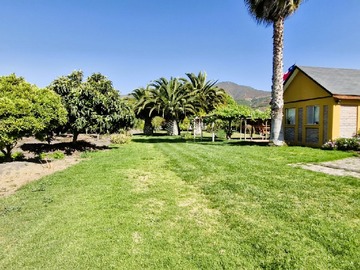 Venta / Terreno Agricola / Quillota