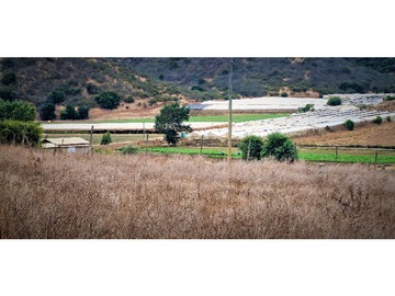 Venta / Terreno Agricola / Quillota
